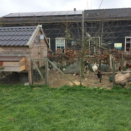 Hoeve Cornelia Berkel en Rodenrijs Dış mekan fotoğraf